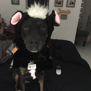 Meet your Posher, Michelle